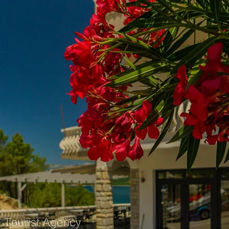 Lejlighed Haven Sea & Forest *